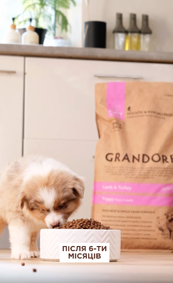 Grandorf