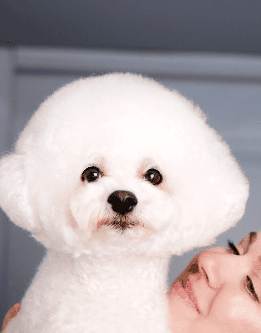 MamaPet