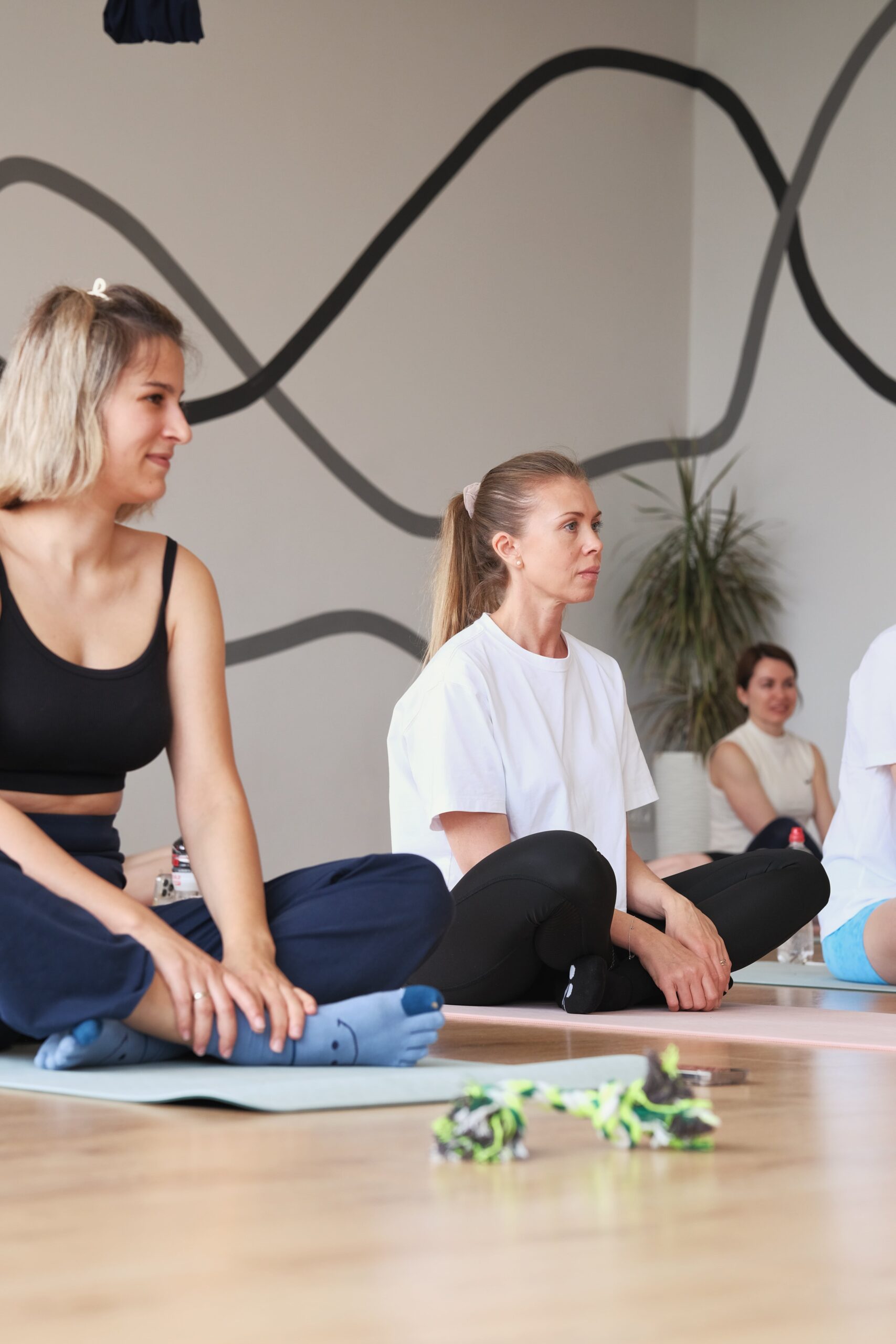 YOGA&DOGA