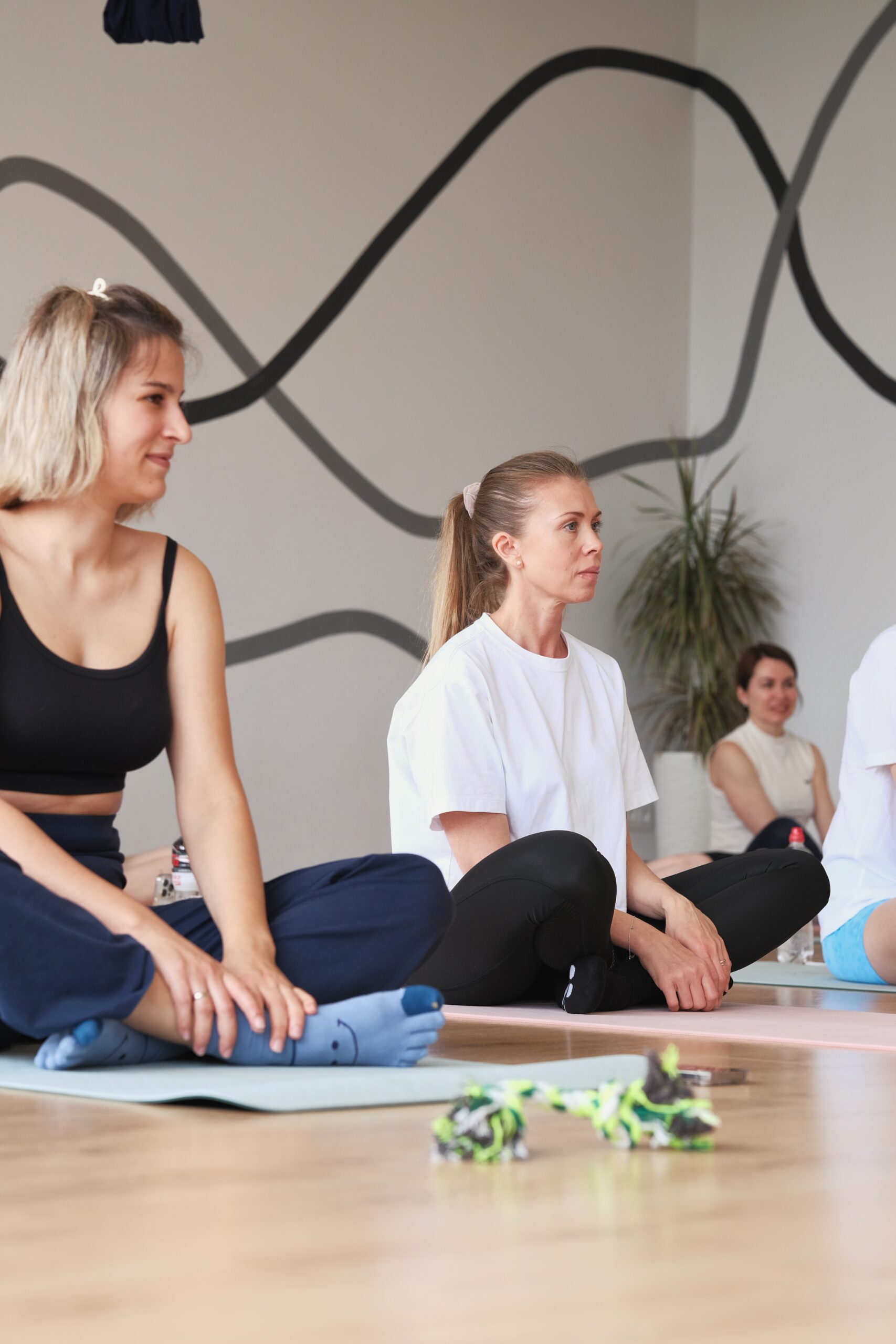 YOGA&DOGA