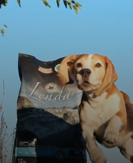 Lenda