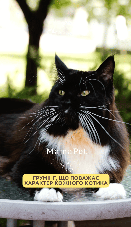 MamaPet